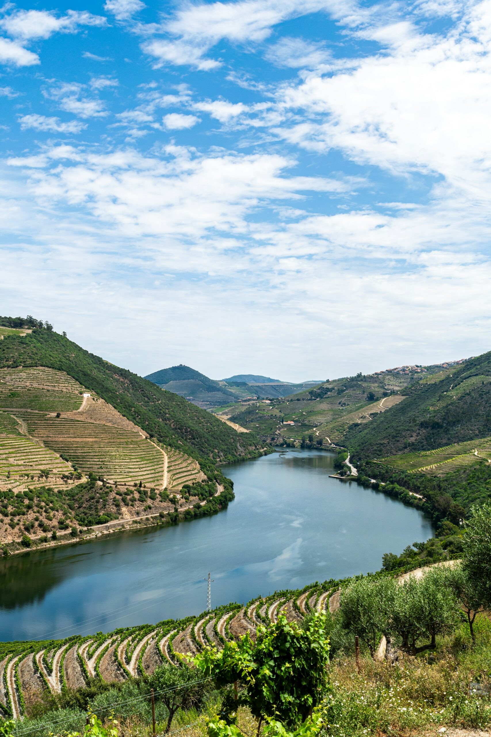 Douro Valley