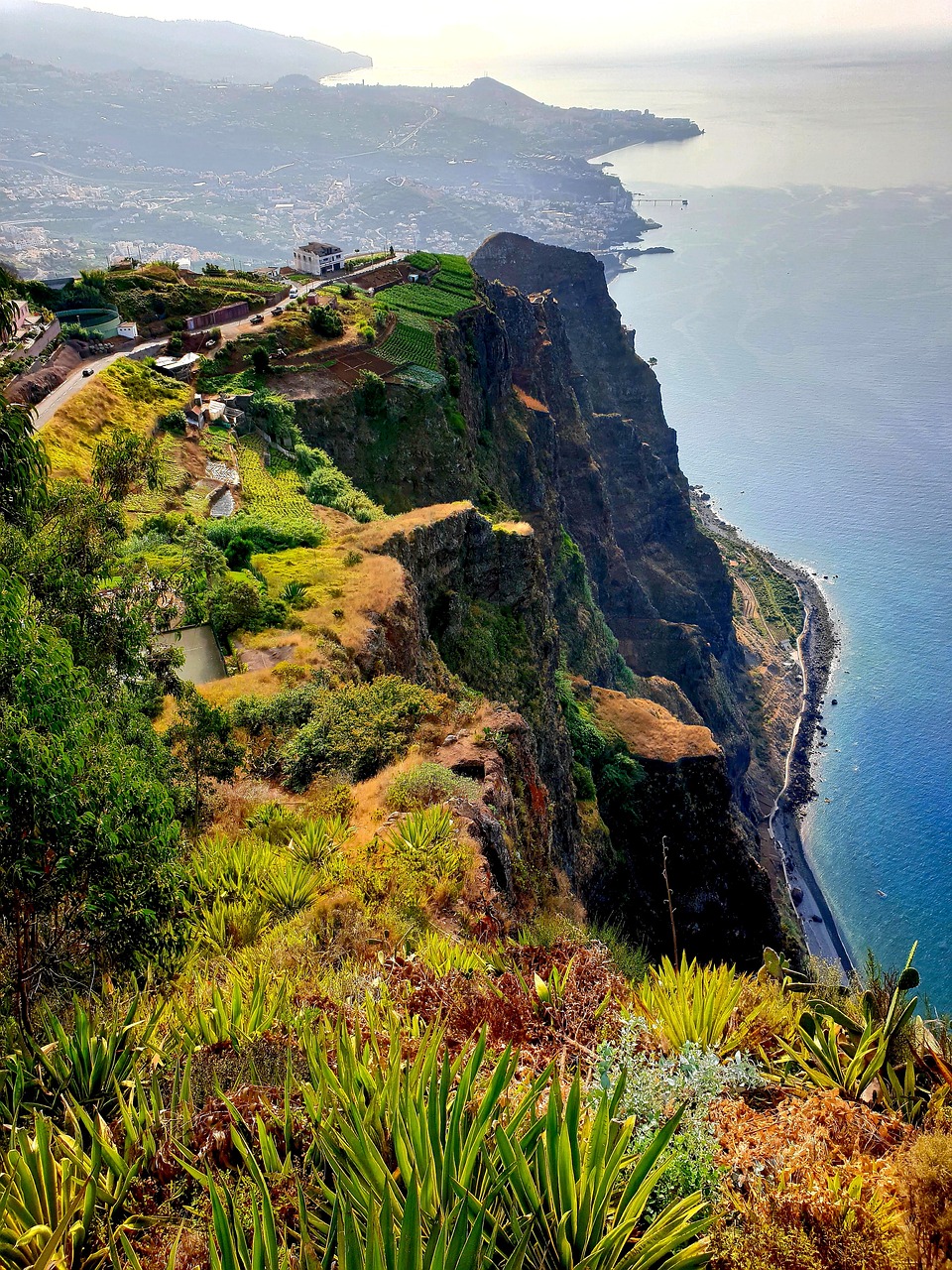 Madeira cliff